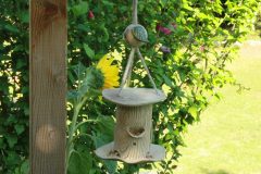 IMG_3518-scaled
